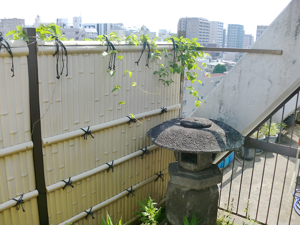 熊本市中央区Ｍホテル　坪庭改修工事フロー2