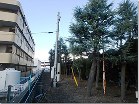 熊本市中央区Ｓ社樹木伐採、抜根工事フロー2