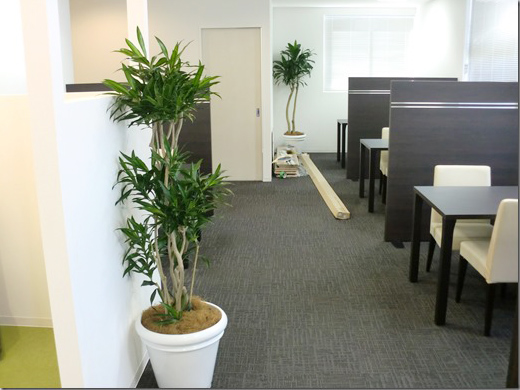 商談スペース・会議室・談話室・休憩室の植物設置例